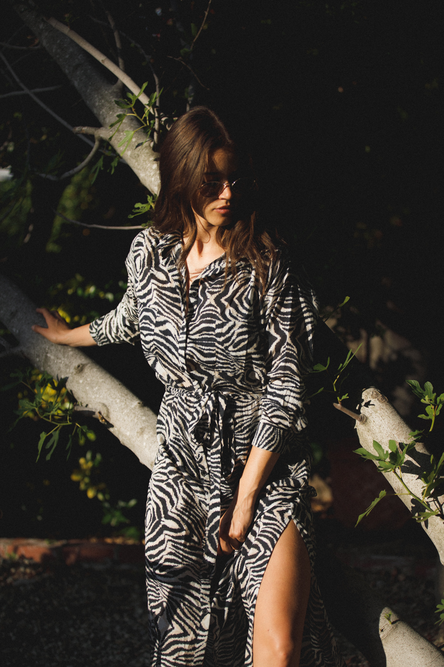 Panos Emporio Ismene Zebra Strandjurk